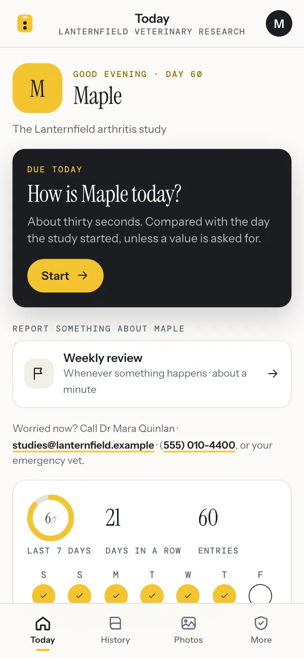 An owner’s phone in the same study: today’s check-in for Maple is due, with a Start button, and a way to report something between check-ins.