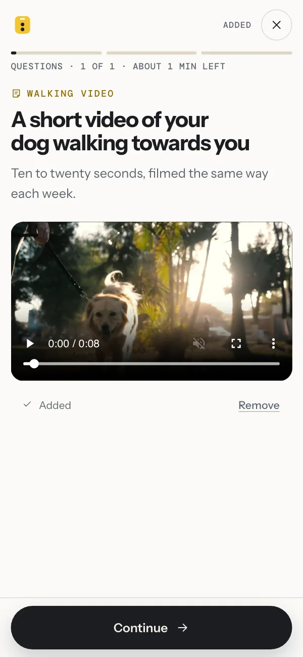 An owner’s phone in the example study, on the walking video question: the clip of the dog walking towards the camera on the lead has been added, with Continue below.